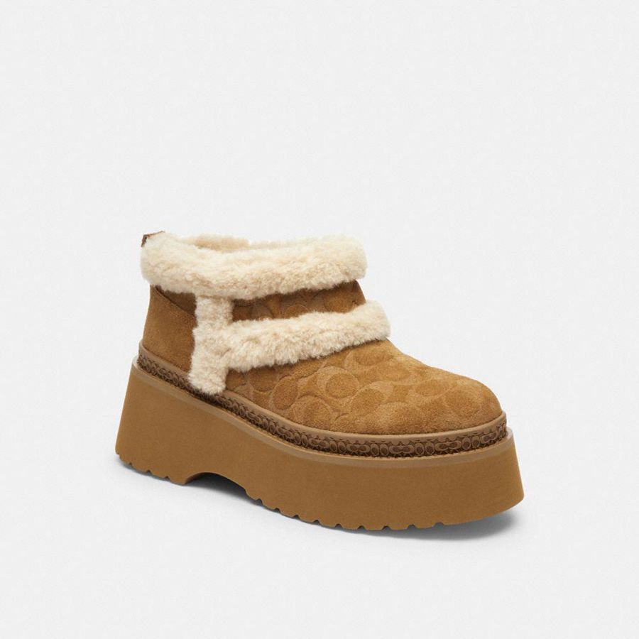 Botas COACH Mujer Marrones | YLXS18653