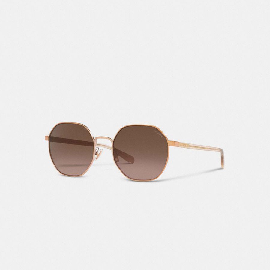 Lentes de Sol COACH Mujer Marrones | DEGQ03257