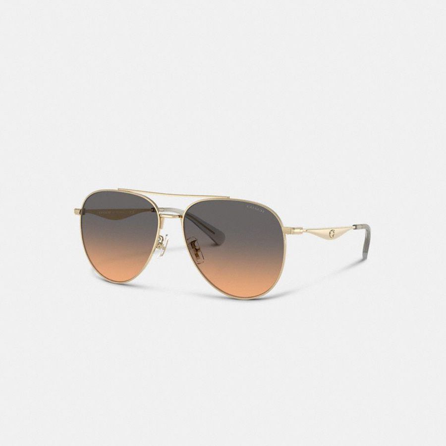 Lentes de Sol COACH Mujer Negras | QBZD21849