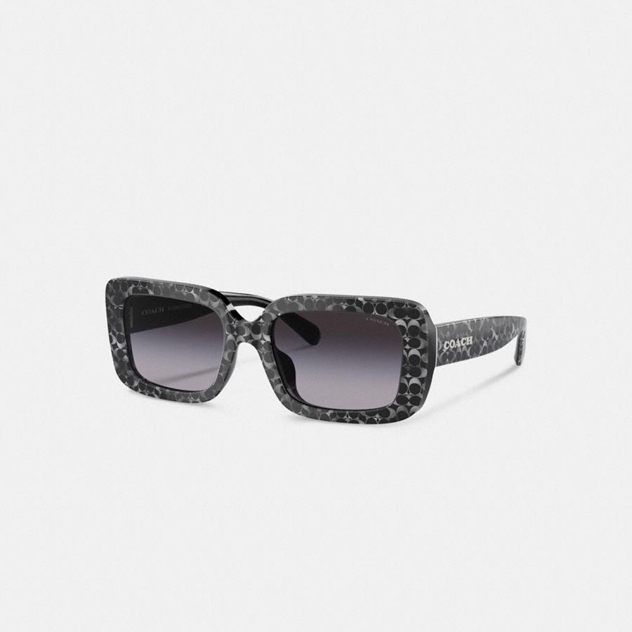 Lentes de Sol COACH Mujer Negras | ZTYI60312